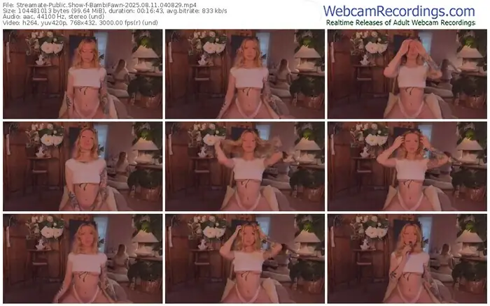 streamate-bambifawn-08-11-2025-04-08-29