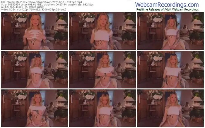 streamate-bambifawn-08-11-2025-05-12-42