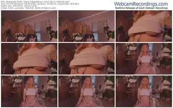 streamate-bambifawn-08-11-2025-05-45-09