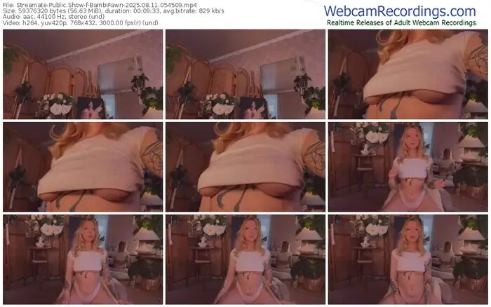 streamate-bambifawn-08-11-2025-05-45-09