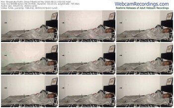 streamate-barb1echey-08-11-2025-03-10-32