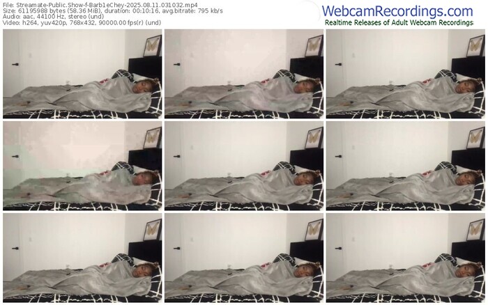 streamate-barb1echey-08-11-2025-03-10-32