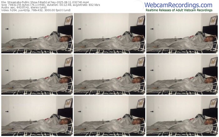 streamate-barb1echey-08-11-2025-03-27-40