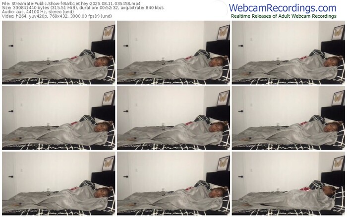 streamate-barb1echey-08-11-2025-03-54-58