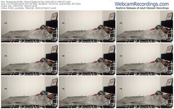 streamate-barb1echey-08-11-2025-04-53-27