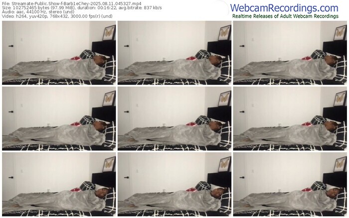 streamate-barb1echey-08-11-2025-04-53-27