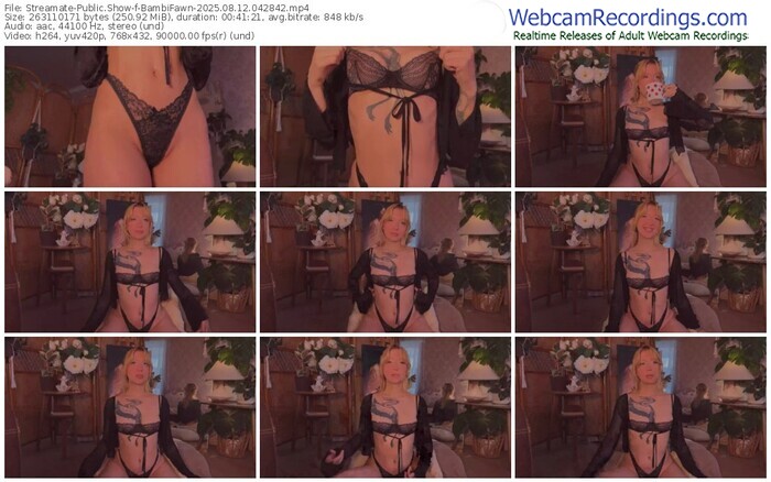 streamate-bambifawn-08-12-2025-04-28-42