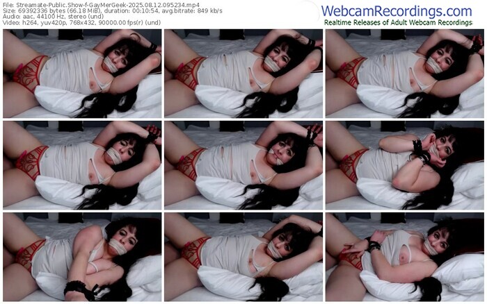 streamate-gaymergeek-08-12-2025-09-52-34