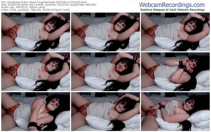 streamate-gaymergeek-08-12-2025-09-52-34
