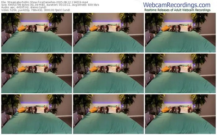 streamate-icedanielles-08-12-2025-13-40-19