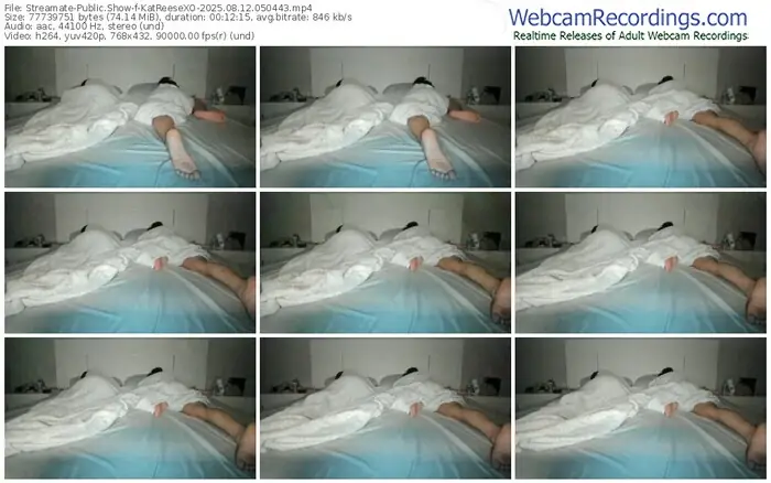 streamate-katreesexo-08-12-2025-05-04-43