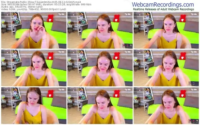 streamate-susansmite-08-12-2025-02-24-25