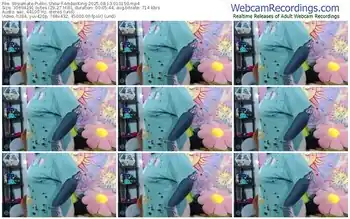 streamate-amberking-08-13-2025-01-01-50