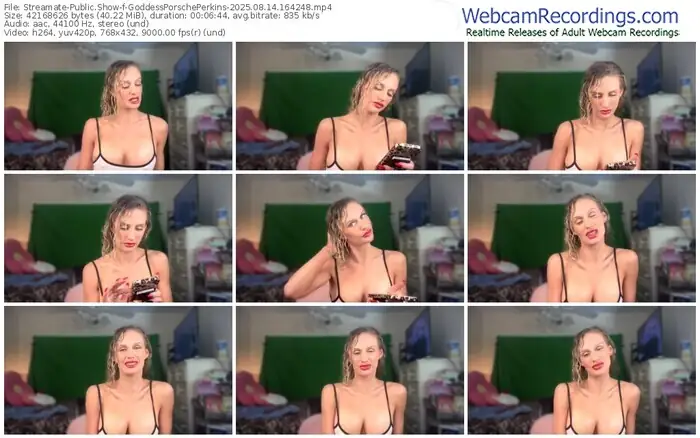 streamate-goddessporscheperkins-08-14-2025-16-42-48