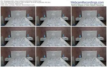 streamate-holliyms-08-14-2025-15-38-32