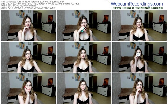 streamate-karawill-08-14-2025-22-59-03