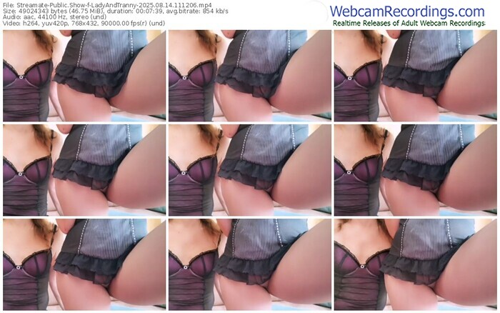streamate-ladyandtranny-08-14-2025-11-12-06