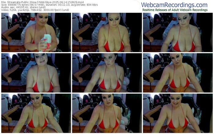 streamate-nikkiskye-08-14-2025-15-28-29