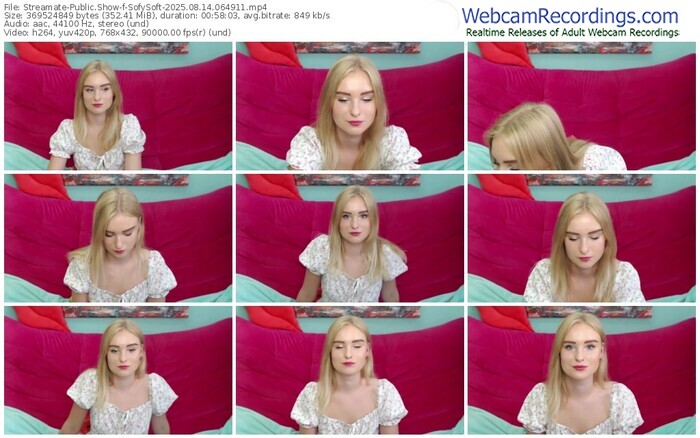 streamate-sofysoft-08-14-2025-06-49-11
