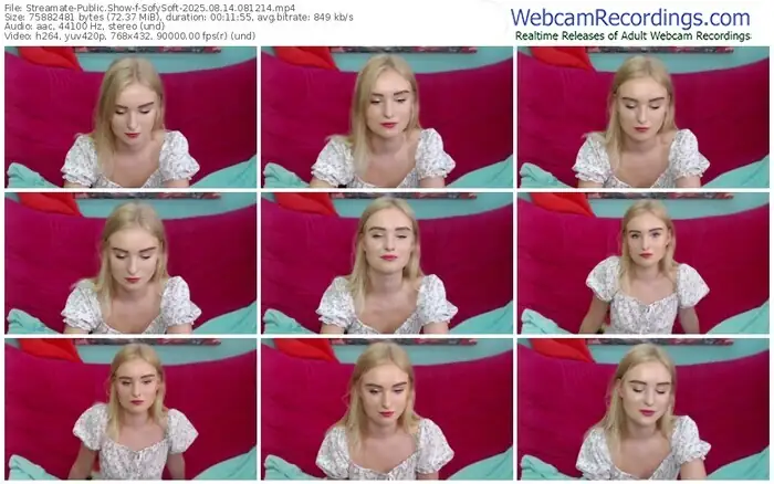 streamate-sofysoft-08-14-2025-08-12-14