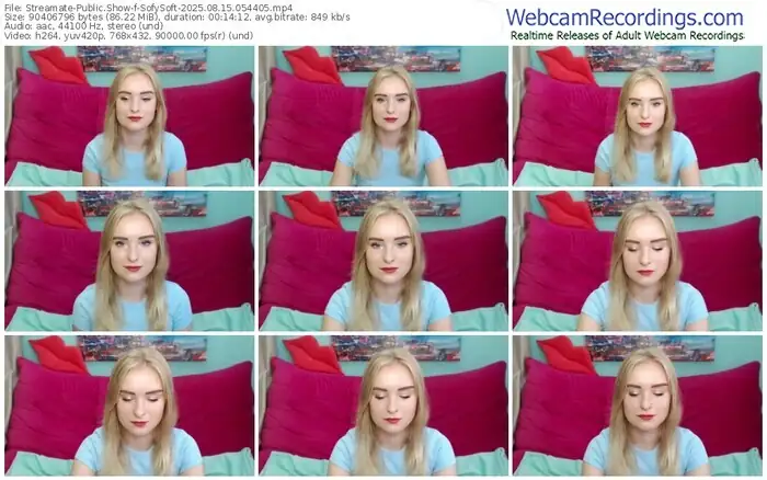 streamate-sofysoft-08-15-2025-05-44-05