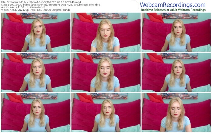 streamate-sofysoft-08-15-2025-06-27-40
