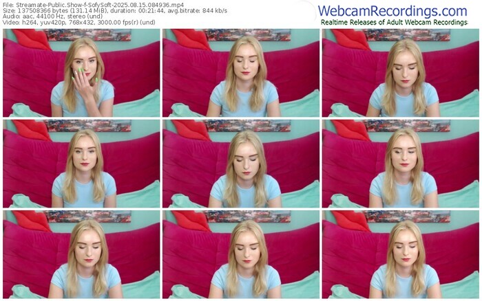 streamate-sofysoft-08-15-2025-08-49-36