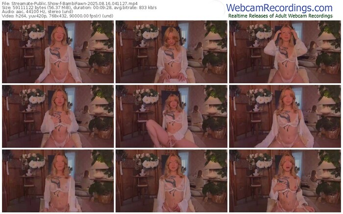 streamate-bambifawn-08-16-2025-04-11-27