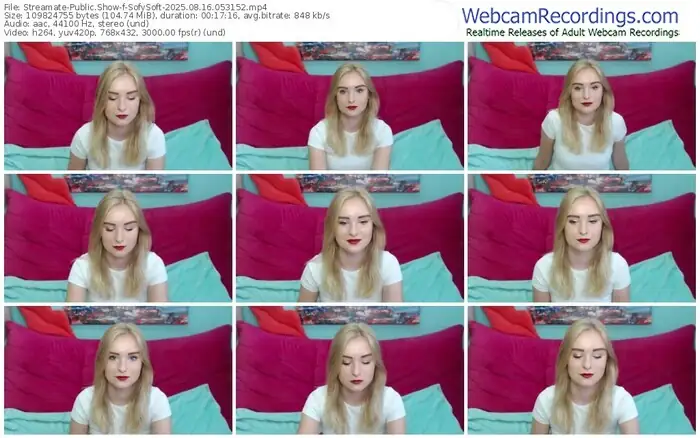 streamate-sofysoft-08-16-2025-05-31-52