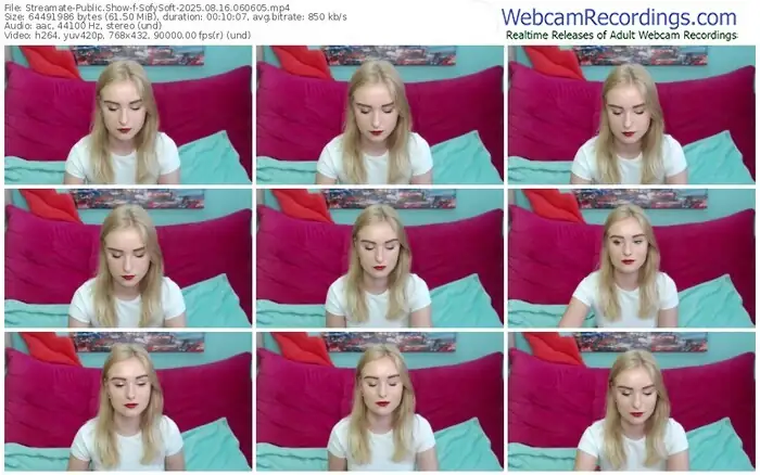 streamate-sofysoft-08-16-2025-06-06-05