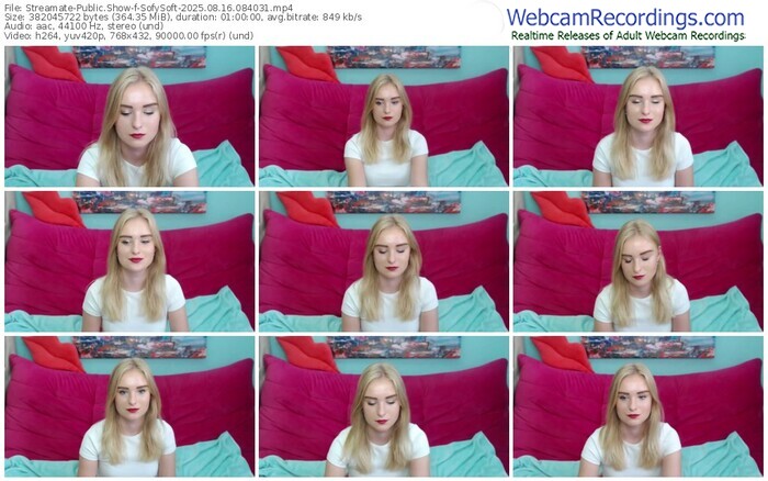 streamate-sofysoft-08-16-2025-08-40-31