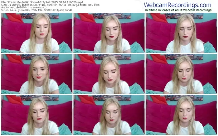 streamate-sofysoft-08-16-2025-11-00-50