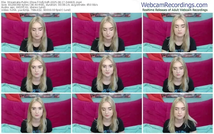 streamate-sofysoft-08-17-2025-04-48-21