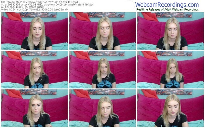 streamate-sofysoft-08-17-2025-05-44-11