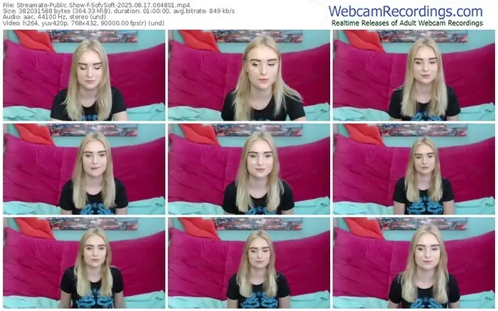 streamate-sofysoft-08-17-2025-06-48-01