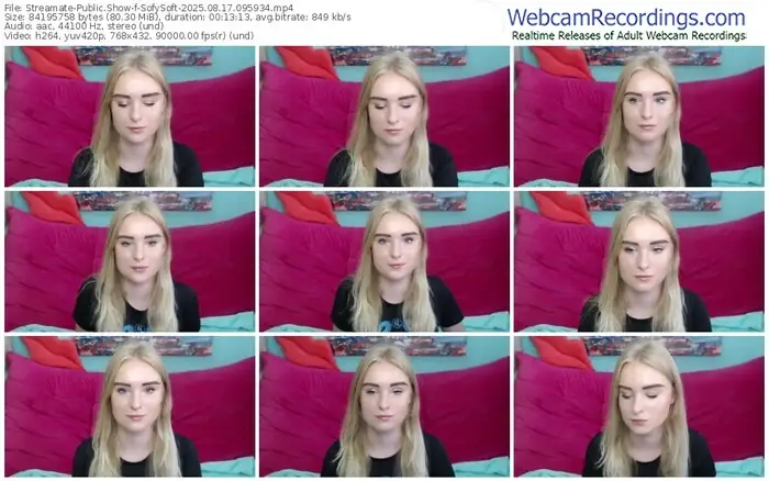 streamate-sofysoft-08-17-2025-09-59-34