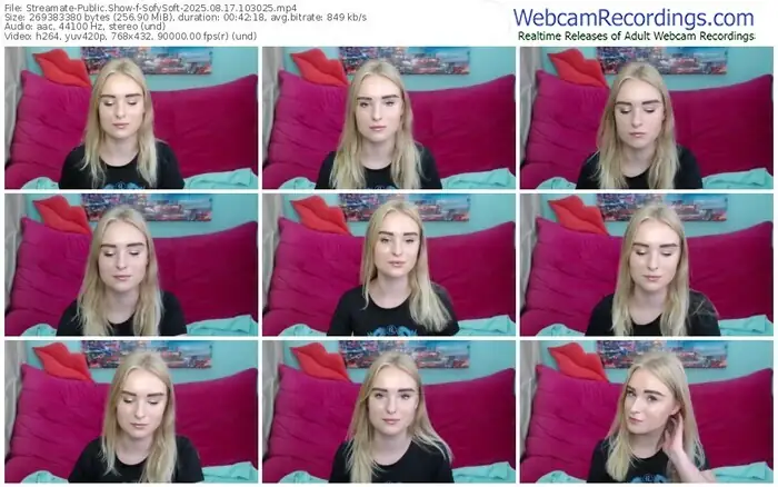 streamate-sofysoft-08-17-2025-10-30-25