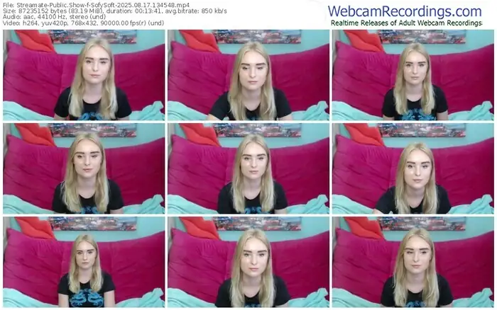 streamate-sofysoft-08-17-2025-13-45-48