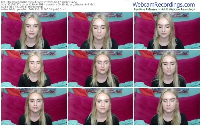 streamate-sofysoft-08-17-2025-16-30-57