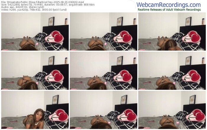 streamate-barb1echey-08-20-2025-03-06-02