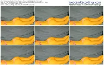 streamate-usacollege-08-20-2025-23-05-51