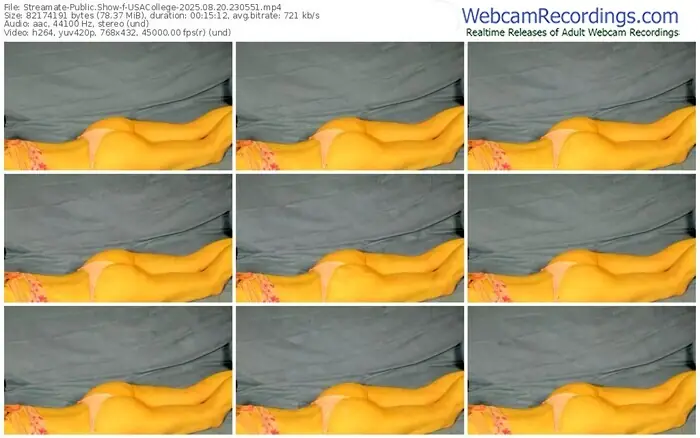 streamate-usacollege-08-20-2025-23-05-51