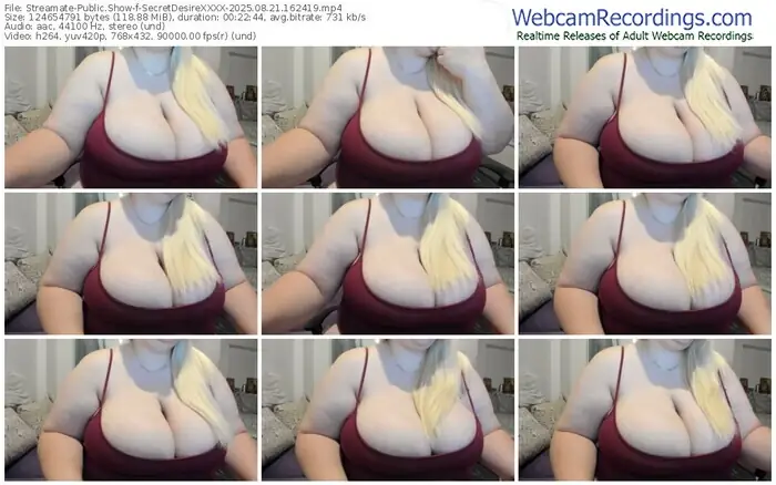 streamate-secretdesirexxxx-08-21-2025-16-24-19