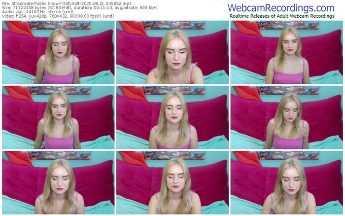 streamate-sofysoft-08-21-2025-04-58-52