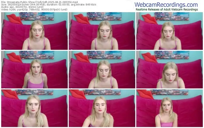 streamate-sofysoft-08-21-2025-08-33-50