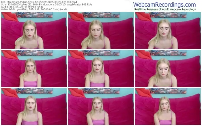 streamate-sofysoft-08-21-2025-10-53-10