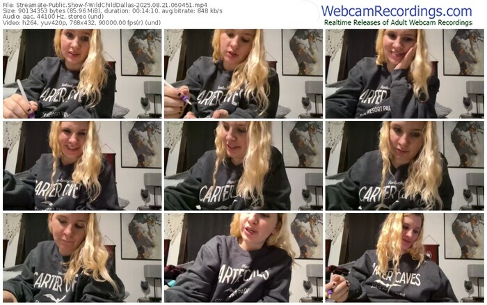 streamate-wildchilddallas-08-21-2025-06-04-51