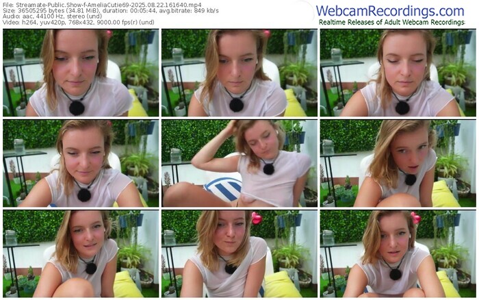 streamate-ameliacutie69-08-22-2025-16-16-40