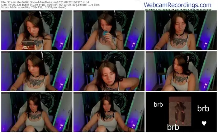 streamate-pawpleasure-08-22-2025-19-23-20