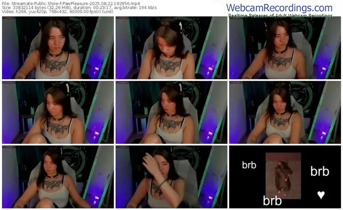 streamate-pawpleasure-08-22-2025-19-29-56